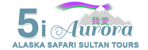 Logo for Auro, a safari solution provider with colorful design.
