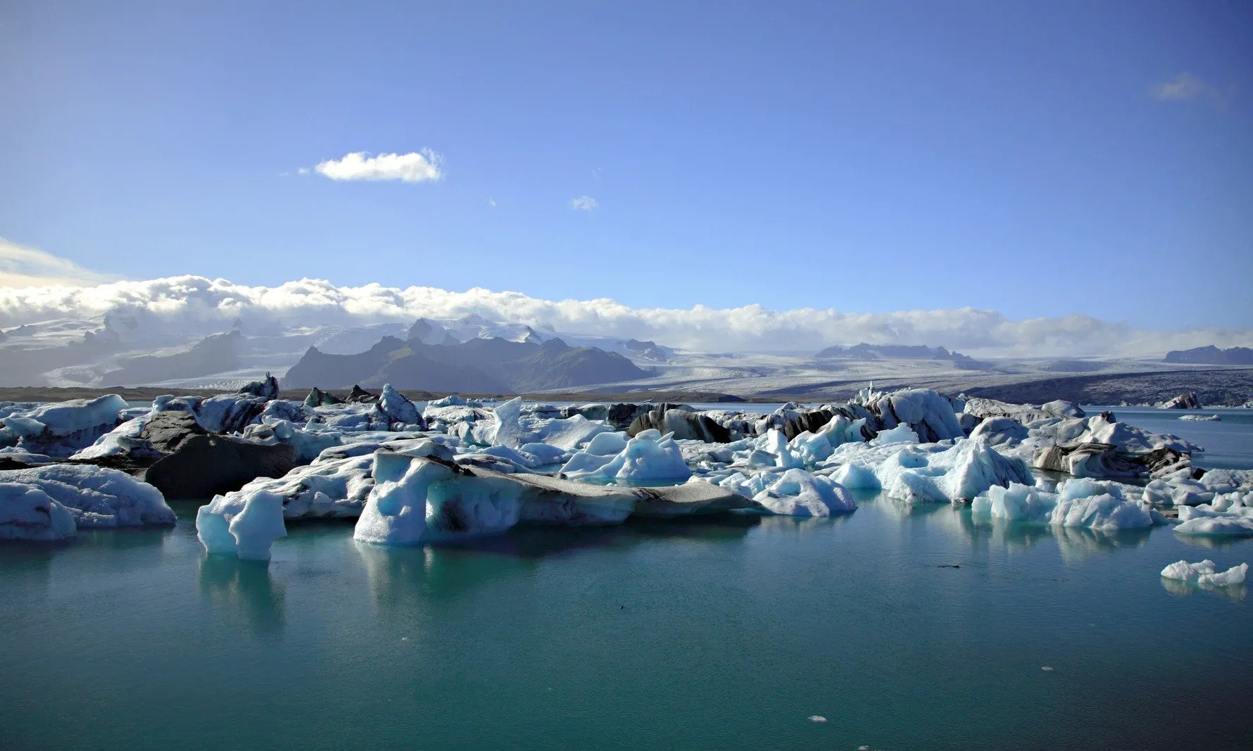 Icebergs floating on calm water under a clear sky with distant mountains.