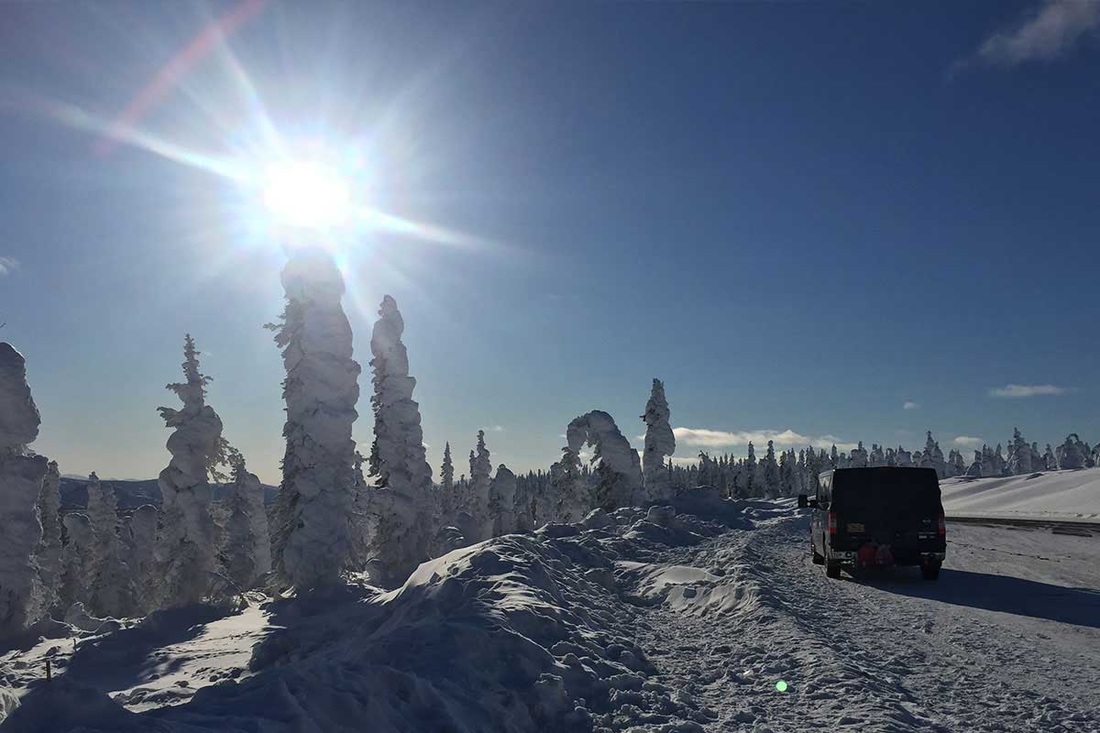 Bright sun shining over a snowy winter landscape with frosted trees.